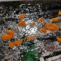 Paquete a granel congelados mandarina naranja segmentos